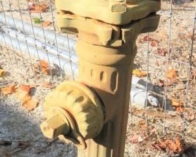 Cast Iron Fire Hydrant Yard Art