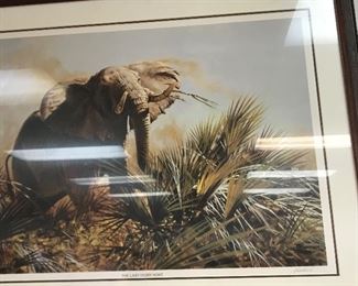 The Saga of Wally Johnson. Print of one of the great recent elephant hunters. 