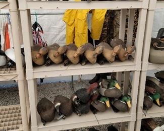 Duck decoys