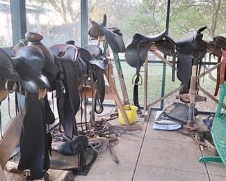 AVAILABLE FOR PRE-SALE - Contact us if interested