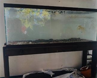 55 Gallon Fish Tank and Stand