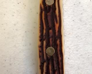 Schrade  Uncle Henry 167UH Filet Knife w/ Sheath	12in length	
