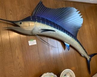 Sailfish  approx 8 ft $500