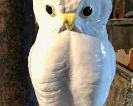 Owl Lamp