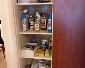 personal hygiene supplies and accessories; cleaners