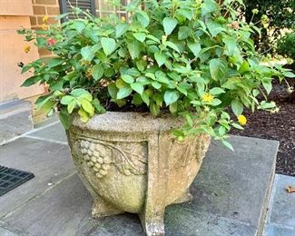 1 of 2 outdoor pots 