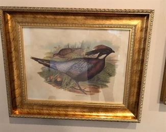 Three Framed Bird Art