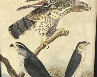 Signed Chinese Watercolor Painting Falcons