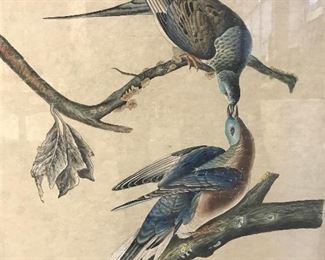 Chinese Signed Watercolor Painting Birds on Branch
