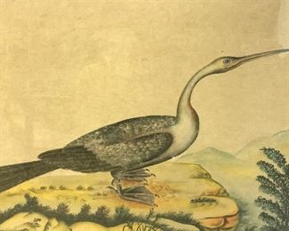 Signed Chinese Watercolor Painting Bird