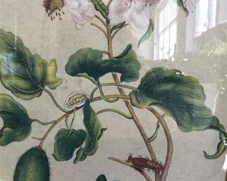 Signed Chinese Hand Painted Plant