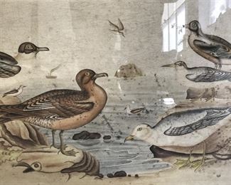 Signed Chinese Hand Colored Seagulls