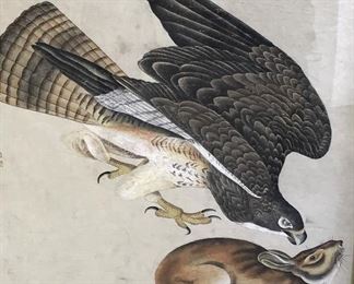 Signed Chinese Hand Colored Bird With Rabbit