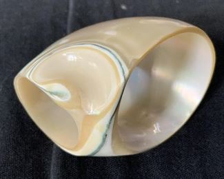 Set 10 Shell Napkin Rings