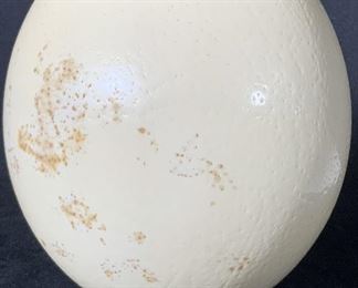 Ostrich Egg Perched On Silver Plated Stand