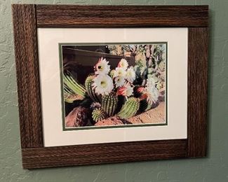 Framed Blooming Cactus Picture	14.5x17.5in	
