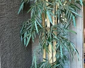 Faux Bamboo Outdoor Plant	87 in h	
