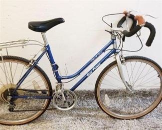 Gran Premier Deluxe 10 Speed Needs Repair