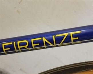 Firenze GL-2000 12 Speed Road Bike