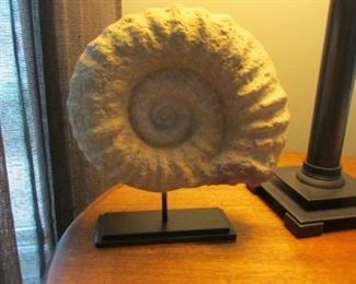Composite stone fossil. H 9 ½”, W 8 ½” $20