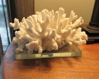 Faux coral on Lucite base. H 7”, W 4 ½” $20