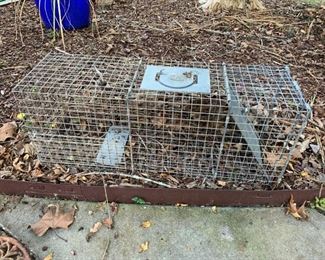 #176 Racoon Trap $20.00