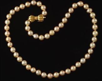 Ladies Gold Tone Pearl and Gold Bow Clasp Necklace 