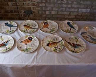 Bird Plates 