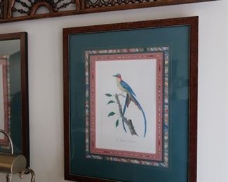 #61- 62- 63     three  birds  of  paradise-  description  is  Handmade engraving from the old copper plates  by  Barnbant and  are  hand  colored-Published  in  Switzerland           