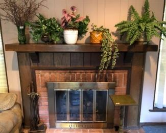 Greenery with fireplace essentials and small green table 