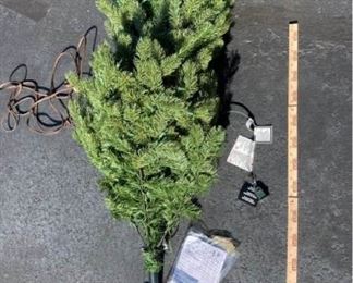 Lighted Christmas Tree