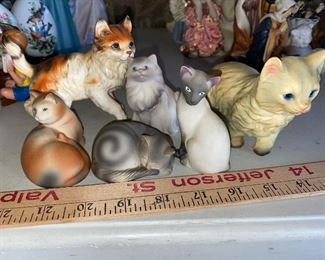 All Cats Shown $10.00