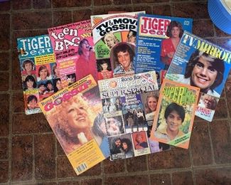 8 Teen Magazines $32.00