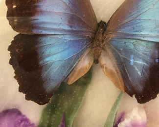 Real butterfly art.