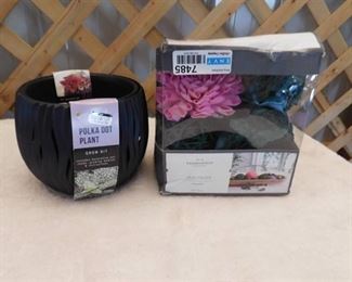 Threshold unscented vase fillers, Buzzy polka dot plant grow kit with crack on side (see pictures)