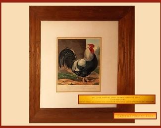 Cassells Poultry Book Chromolithograph Rooster Framed 
