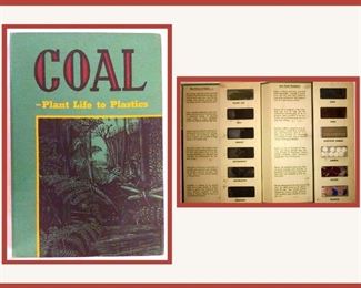Coal Plant Life to Plastics. It looks like a regular book and then once opened there are all the real samples encased, very cool!