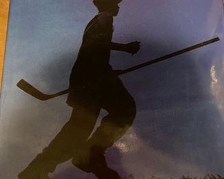 National Hockey League book