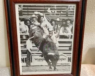 Framed rodeo picture of "Ty Murray" bullrider. Nine-time World Champion. Inductee of the ProRdeo Hall of Fame. He is also co-founder of the Professional Bull Riders (PBR). Measure 10 1/2" x 13". $15