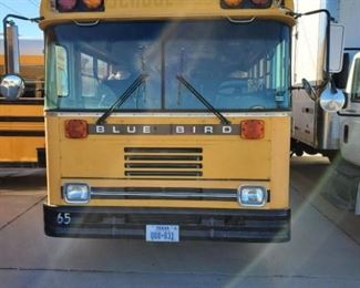 BLUE BIRD BUS