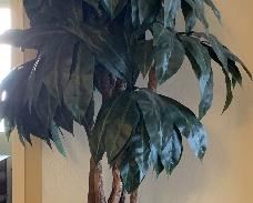 9' Faux Tree in Metal Pot x 2