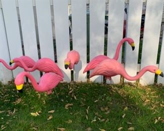 $16.00.............Family of Flamingos (B253)