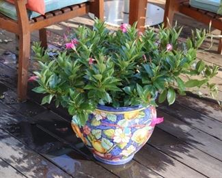 Colorful Garden Pot