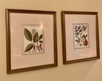 Item 55:  (2) Framed botanicals - 16" x 18.25":  $145/Each