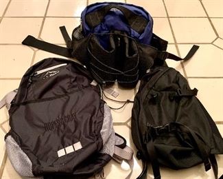 Item 397:  Hiking bags:  $26/Each                                                                                      L.L. Bean backpack - bottom left (this item is inscribed) (SOLD)                                                                                                   Lowe Alpine fanny pack - back row                                                             Patagonia crossbody - bottom right