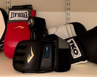 Item 250:  Lot of boxing gloves and punch mitts:  $28  