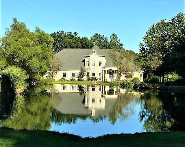 Eads Estate Sales starts on 11/7/2020