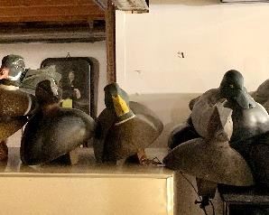 Duck decoys