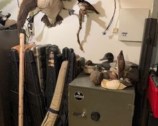 Gun cases, electronic safe, taxidermy