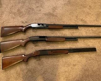 Savage 444, Winchester 12